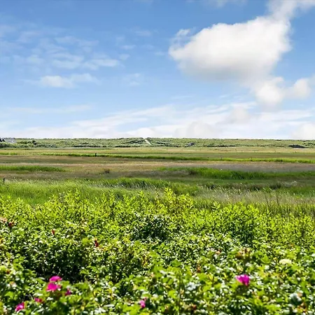 Bv322-blavand-gronningen-10 * Blåvand